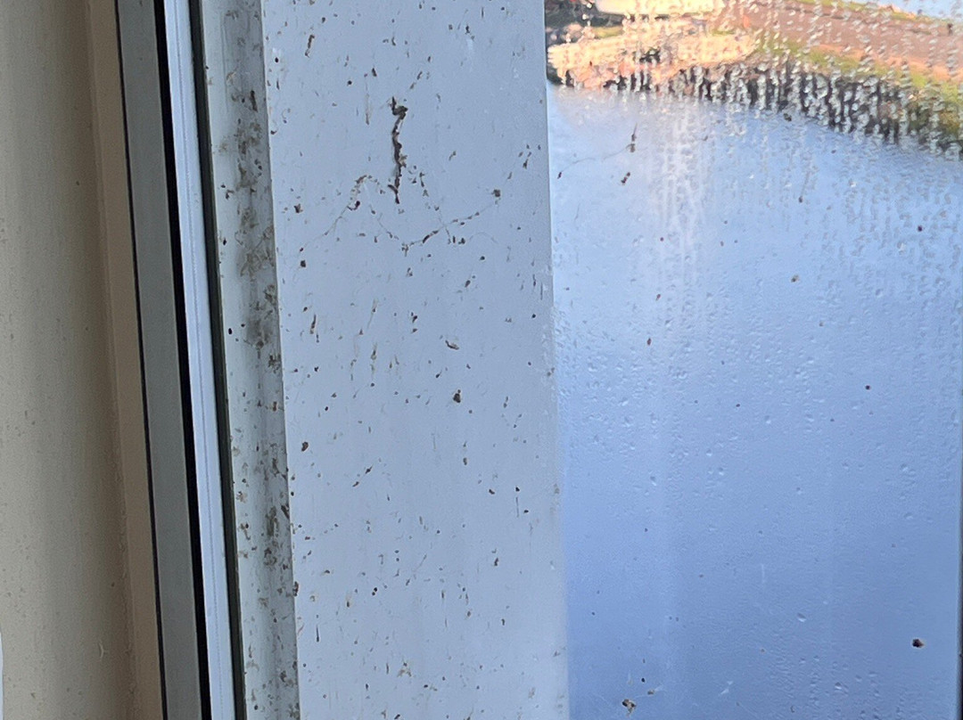 Best Western The Hotel Chequamegon主图