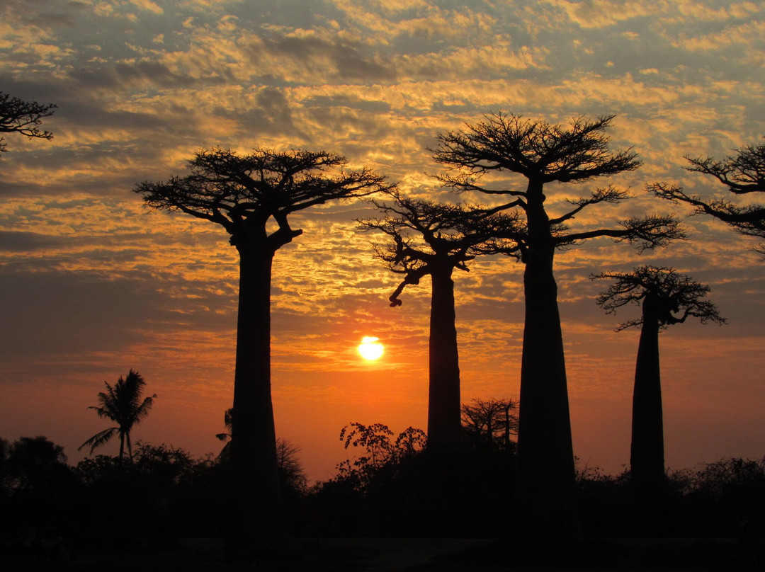 Ramartour Madagascar s.a.r.l.-Ambohidratrimo必去景点