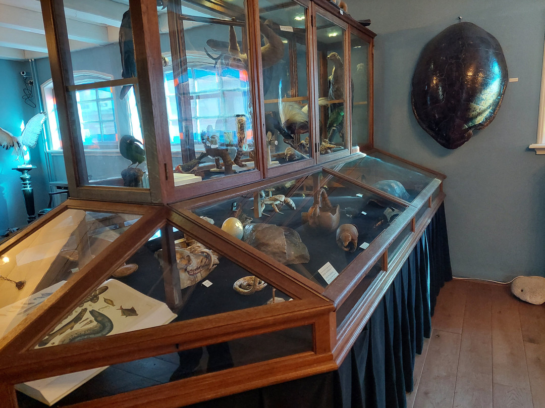 Natuurmuseum Fryslan-吕伐登必去景点