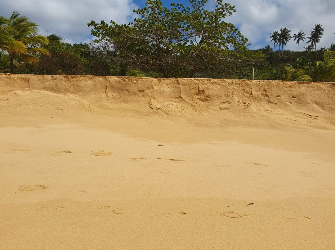 Rio Verde Beach-特兰科苏必去景点