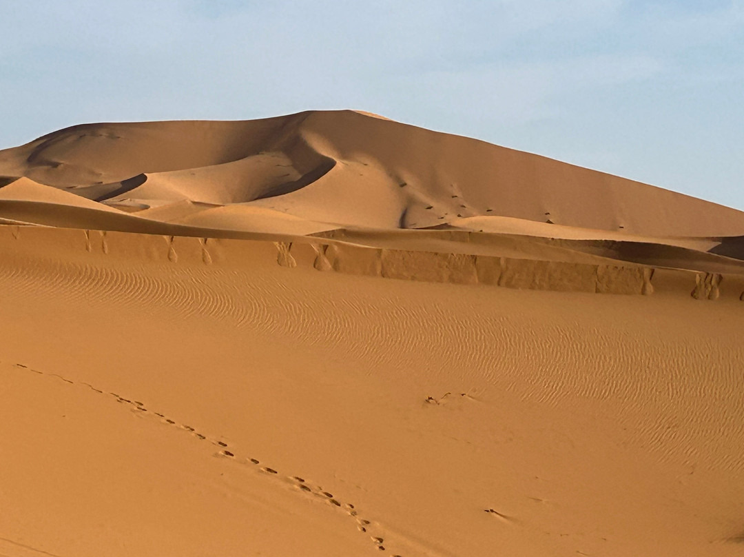 Dades Aventures - Day Tours-瓦尔扎扎特必去景点