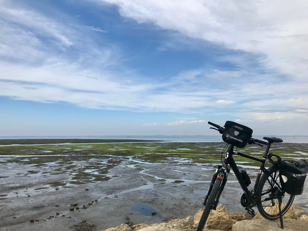 Bassin d'Arcachon-阿卡雄必去景点