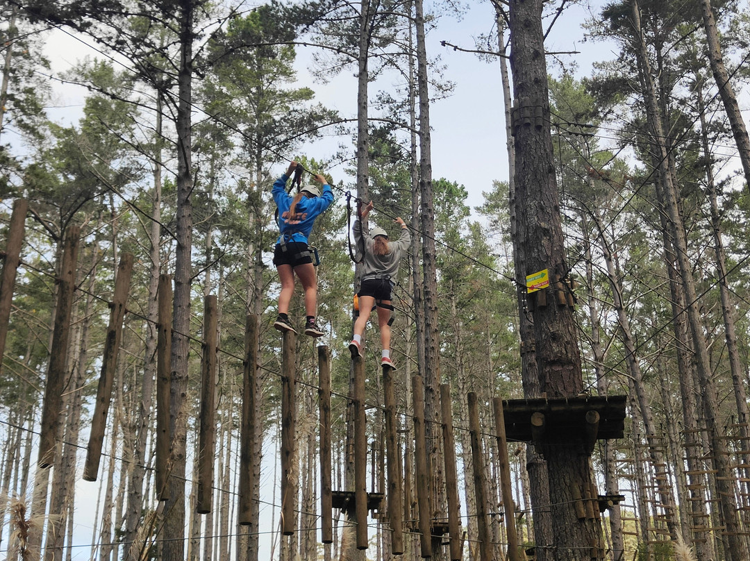 Tree Adventures-伍德山必去景点