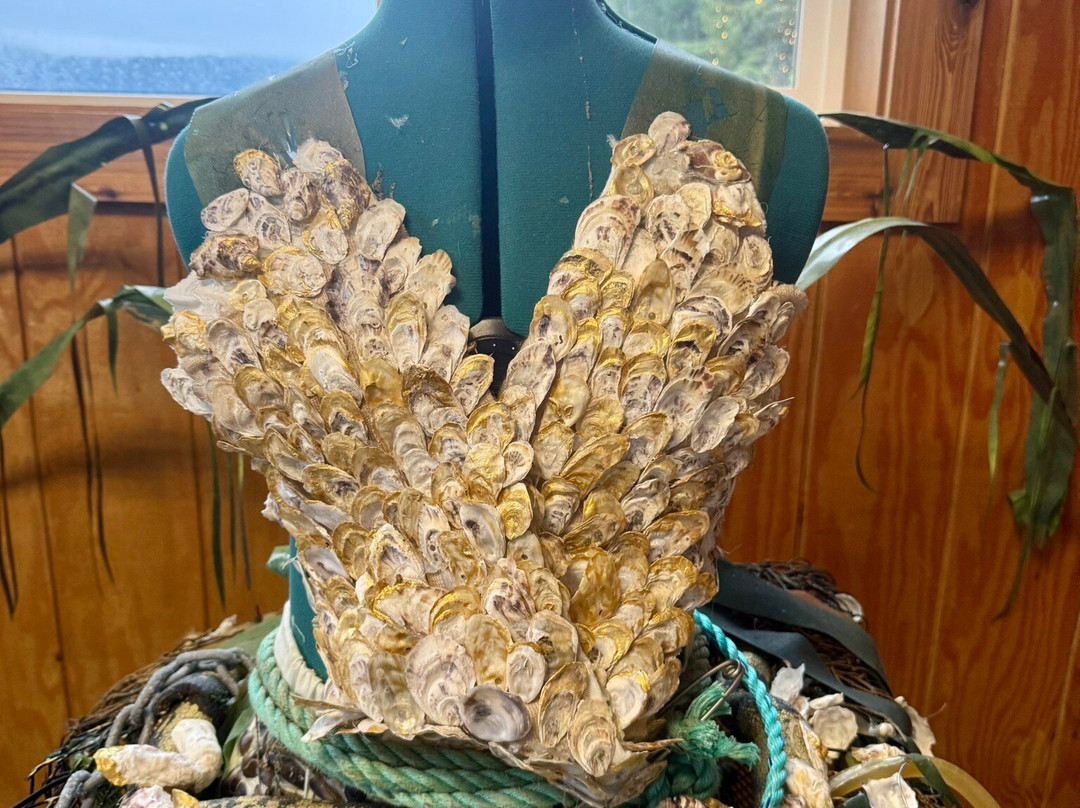 Hump Island Oyster & Kelp Farm with Tasting-凯奇坎必去景点