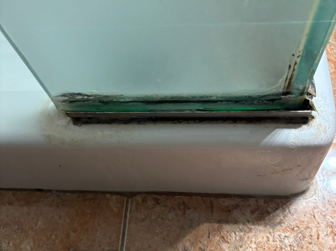 Penelope Hotel主图