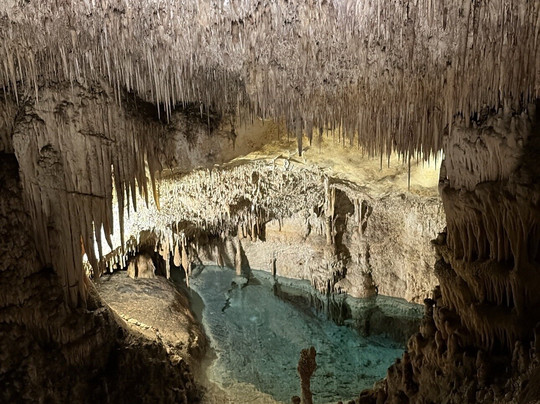 Lemon Tours-马洛卡帕尔马必去景点