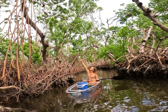 Bradenton 2-Hour Clear Kayak Eco Tour