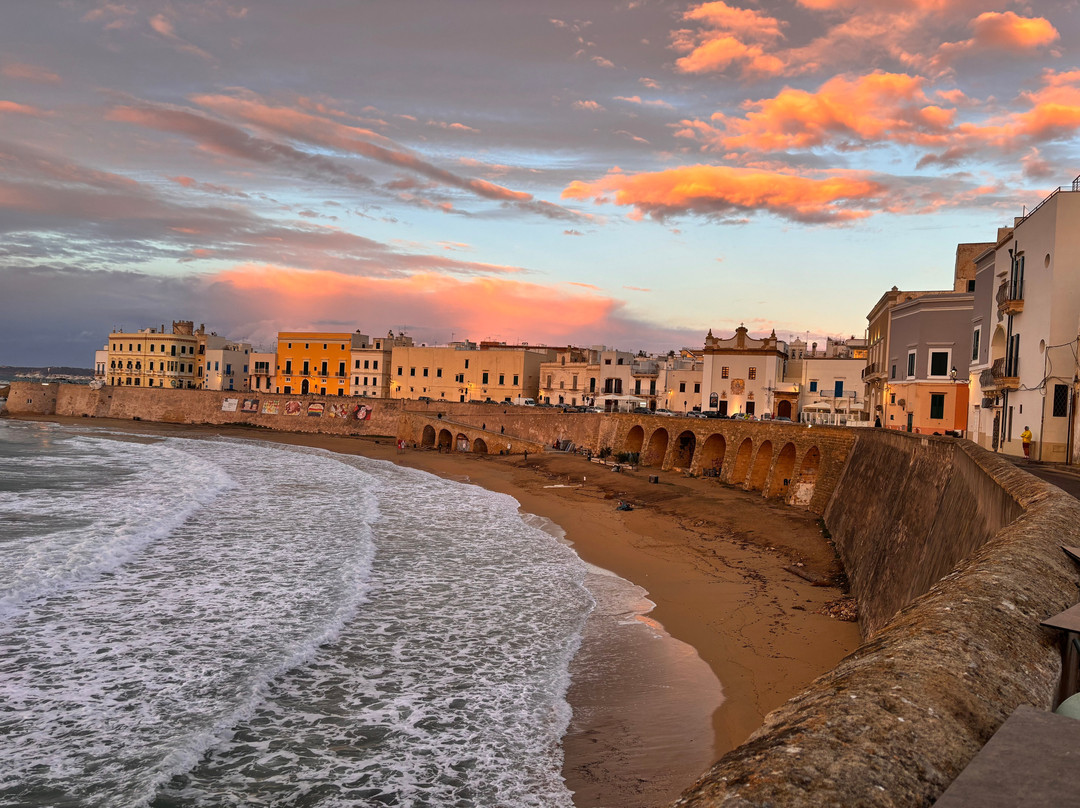 Puglia in Movimento-巴里必去景点