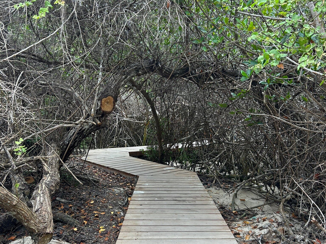 Concha de Perla-维里亚米尔港必去景点
