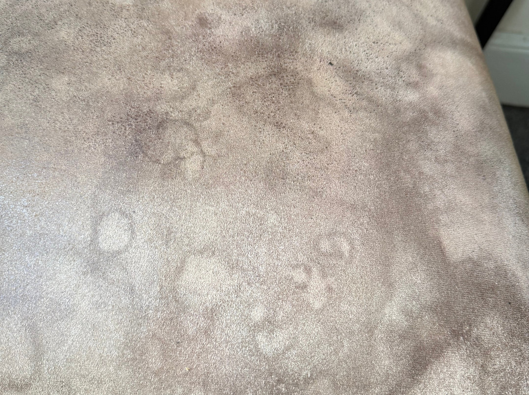 The Dorset Inn主图