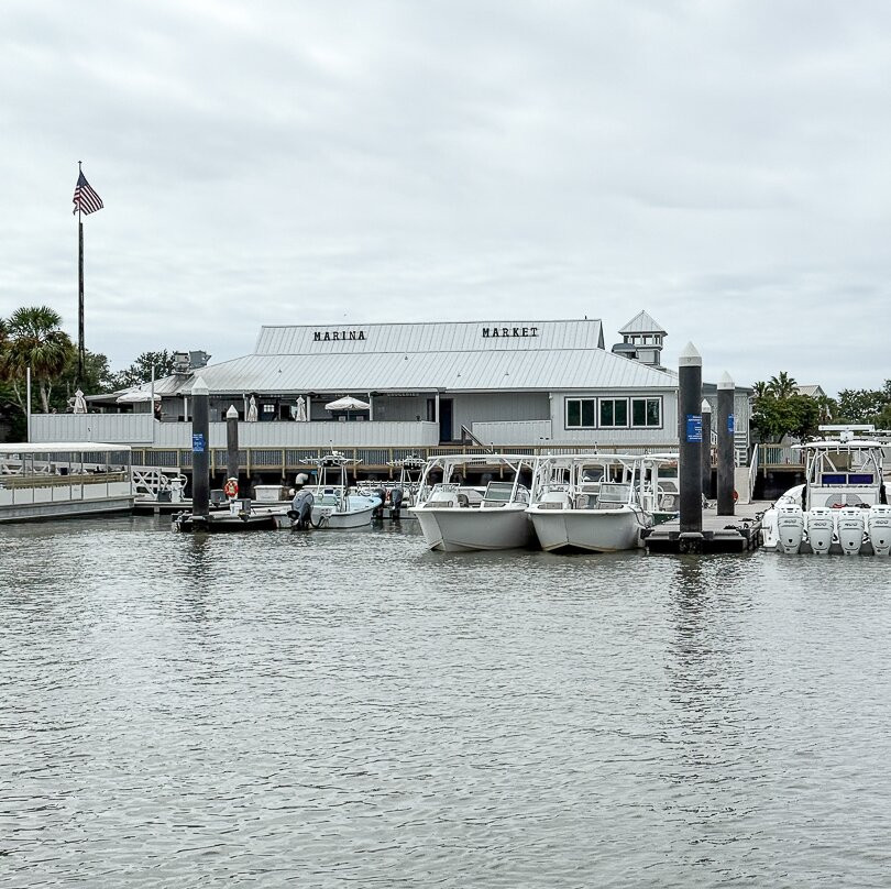 Barrier Islands Eco Tours-棕榈岛必去景点