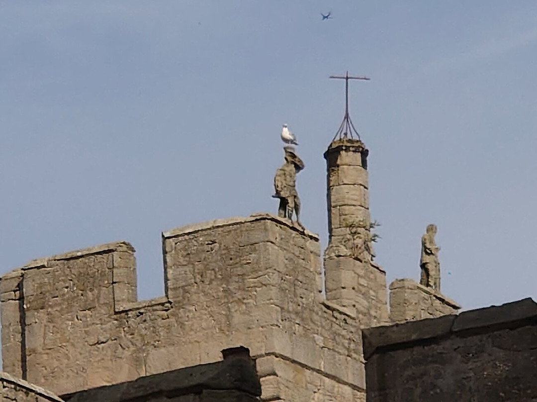 Witton Castle Country Park-Bishop Auckland必去景点