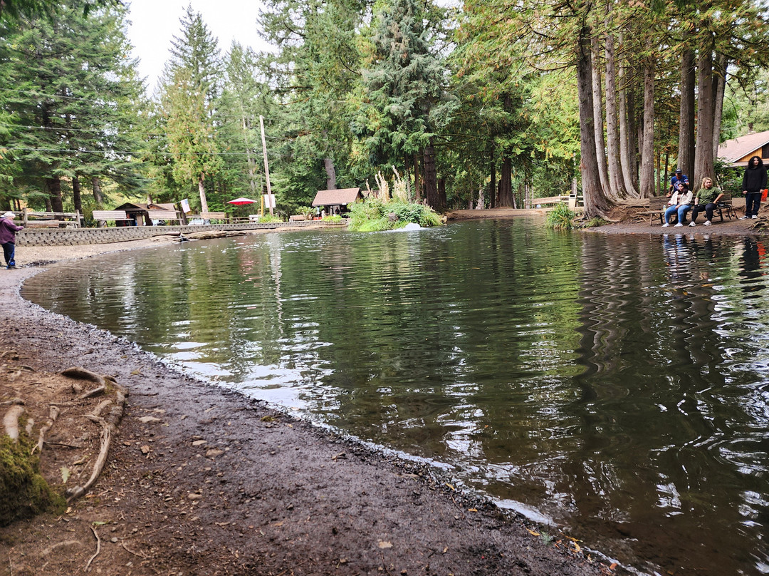 Rainbow Trout Farm-Sandy必去景点