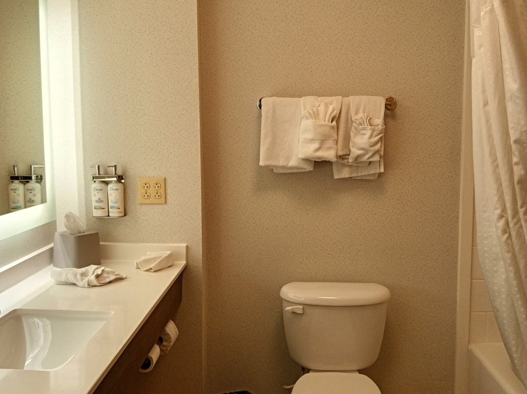 罗谢尔智选假日酒店主图