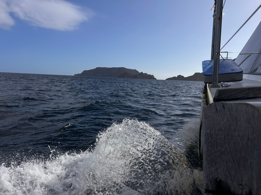 Dive! Tutukaka-Tutukaka必去景点