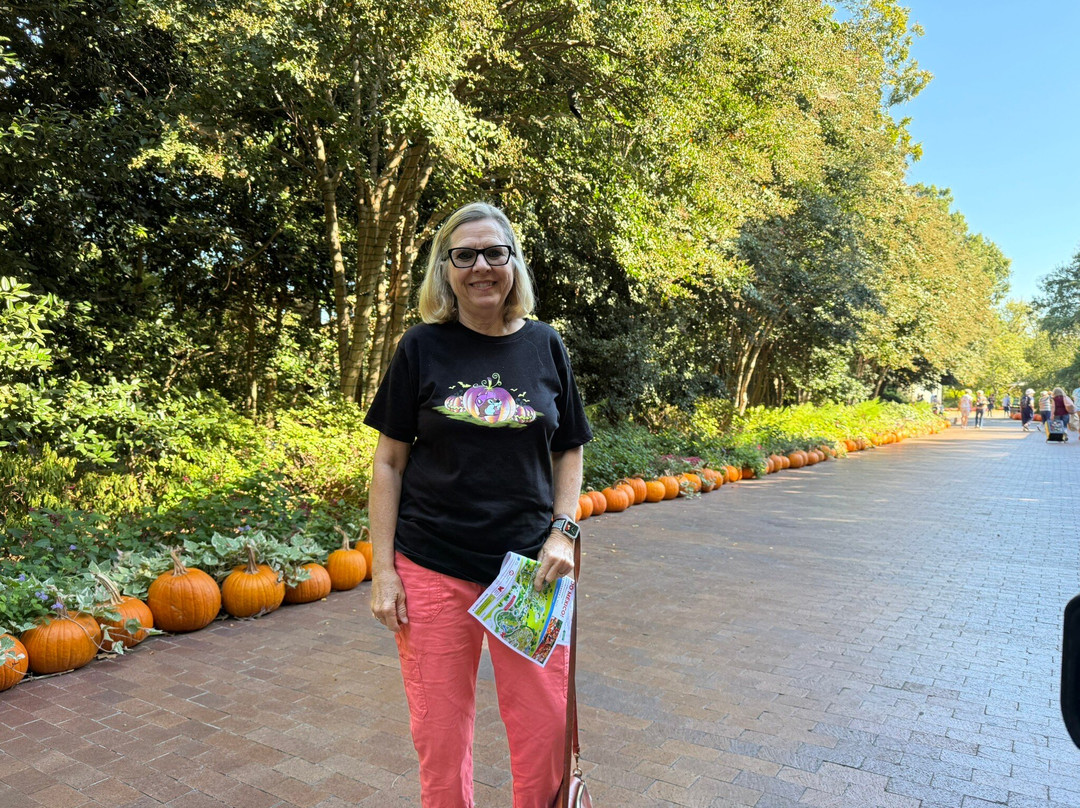 Drury Inn & Suites Dallas Frisco主图