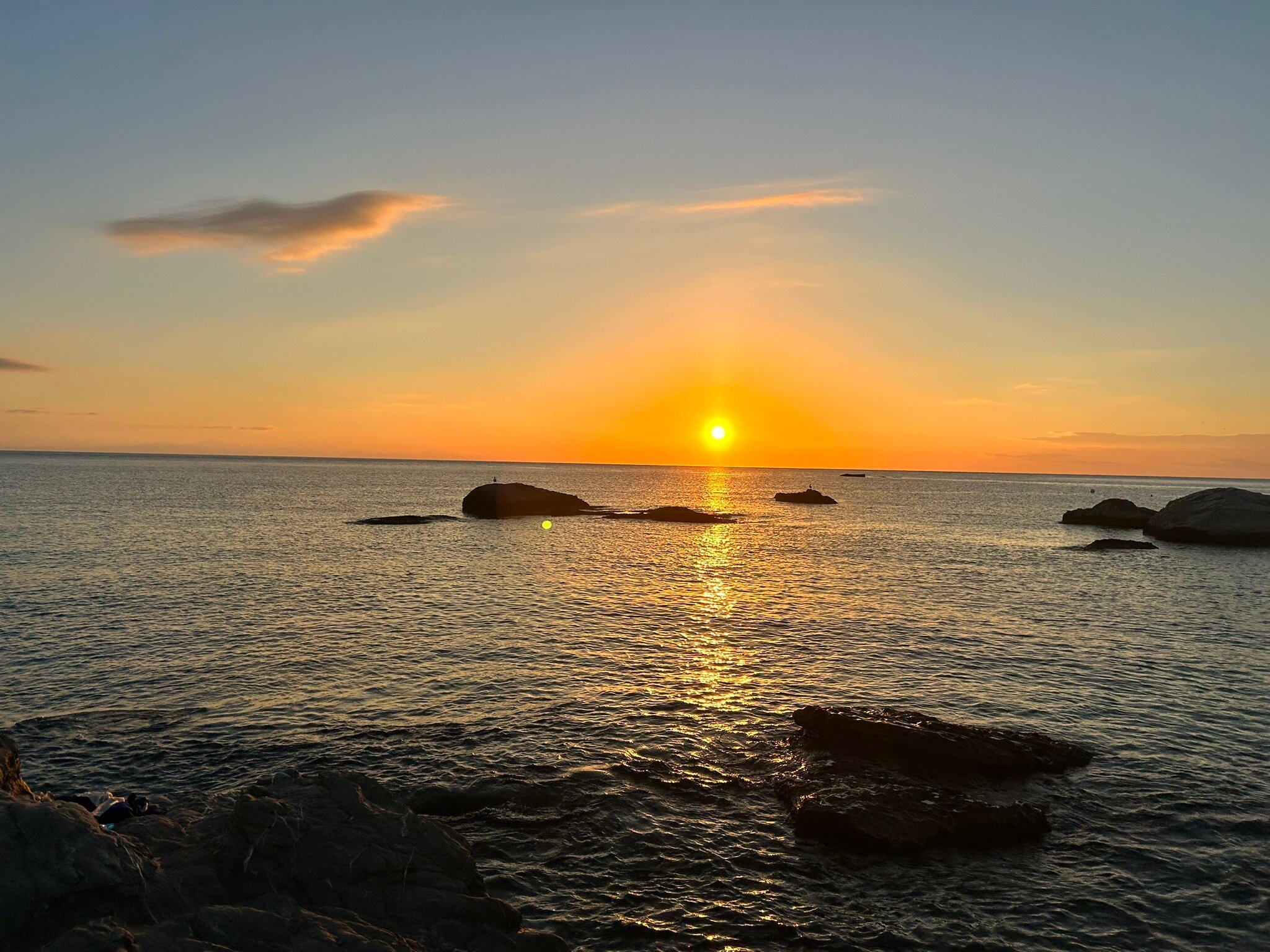 Bouganville Studios-官方