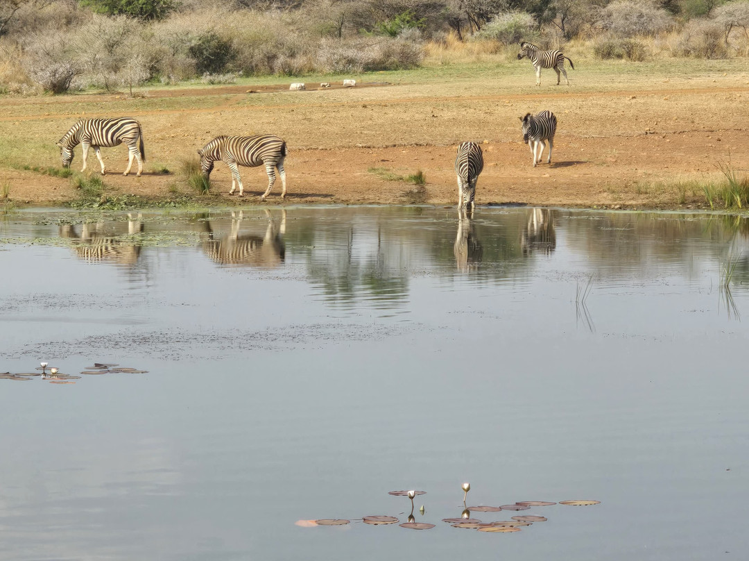 Mela Luxury Game Lodge主图