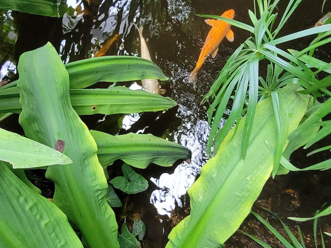 Caen Botanical Garden-卡昂必去景点