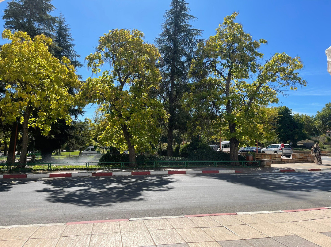 Ifrane National Park-Ifrane必去景点