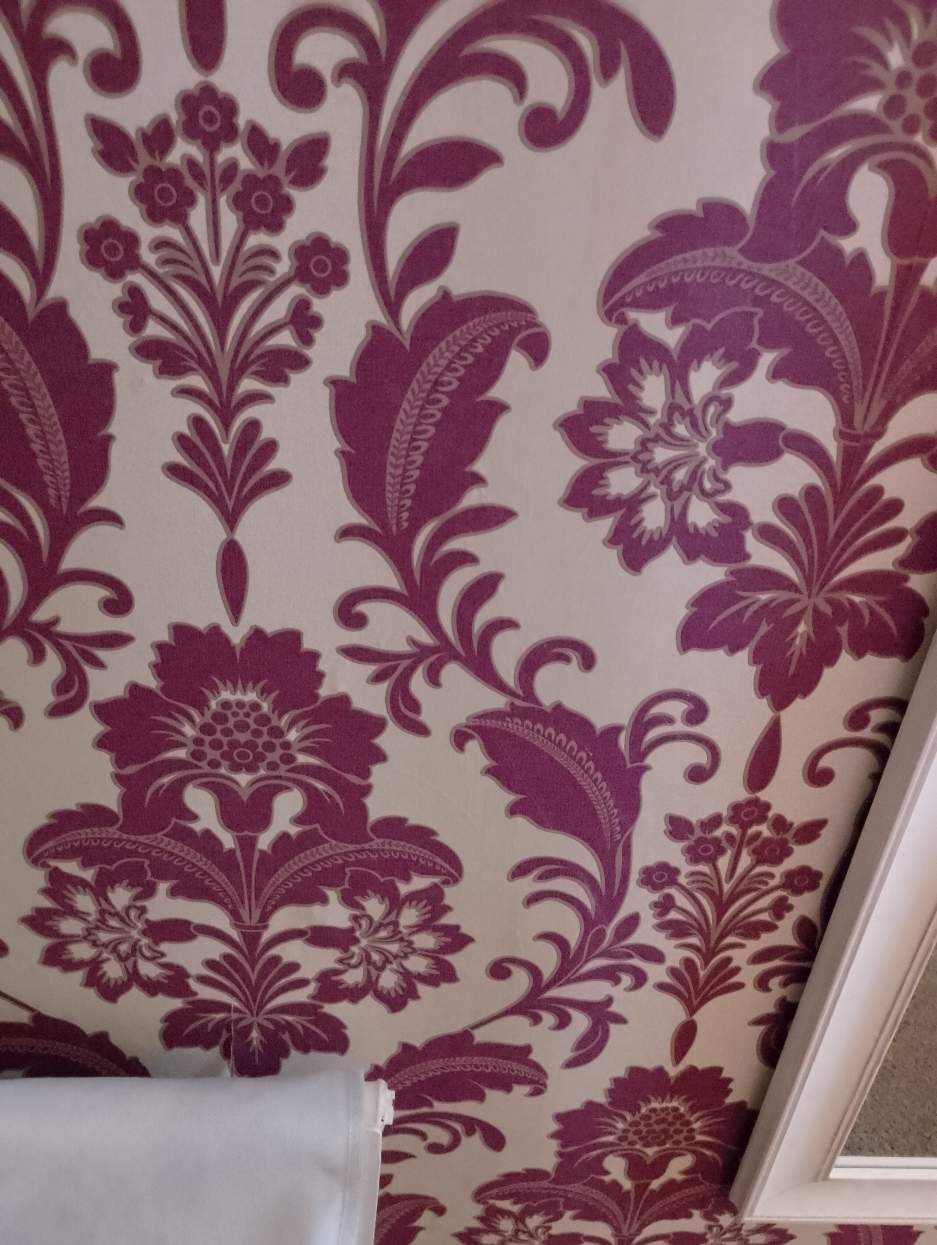 Adelaide House Hotel-官方