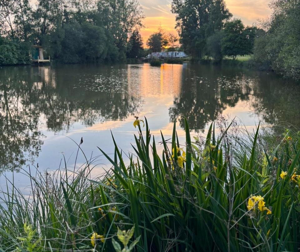 Les Rives De Bel Air - Hebergements - Camping - Caravaning