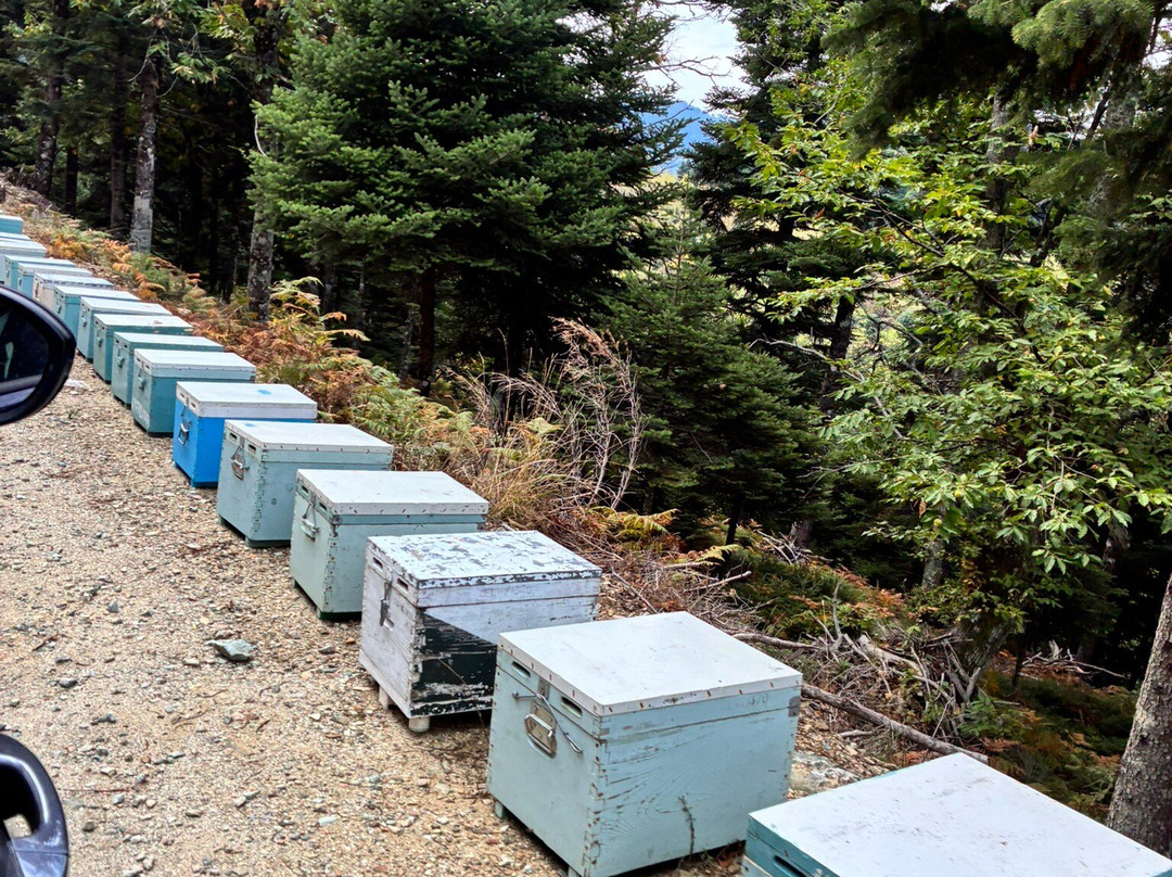 SAFARI TOUR IN EVIA ISLAND-Eretria必去景点