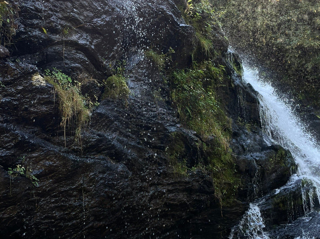Secret Falls-海兰兹必去景点