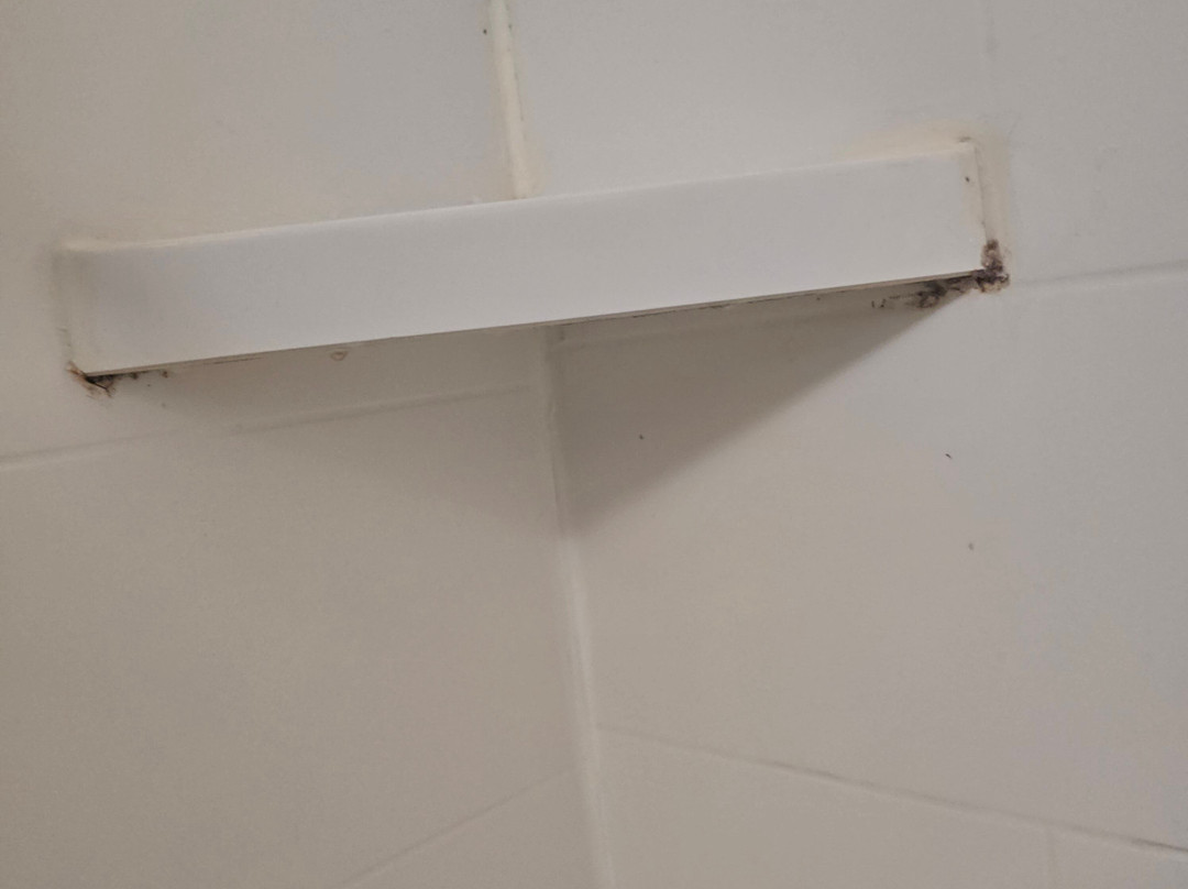 兰卡斯特希尔顿恒庭酒店主图