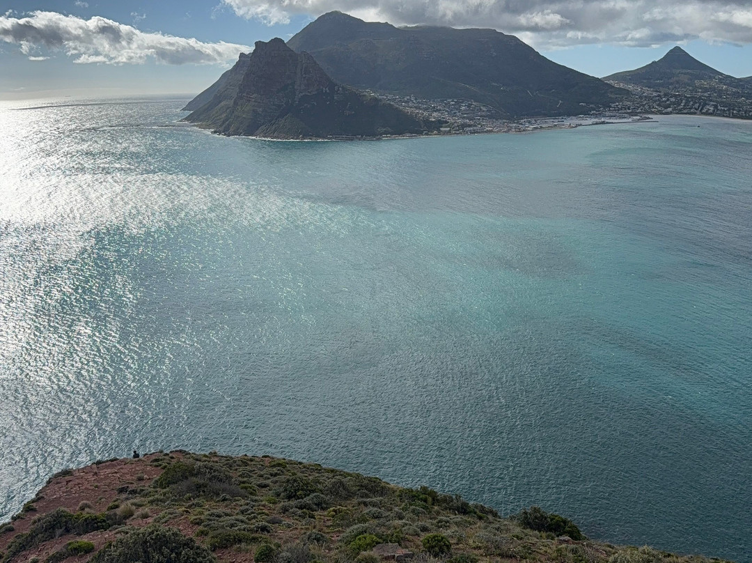 Escape to the Cape Sightseeing Tours-Rondebosch必去景点