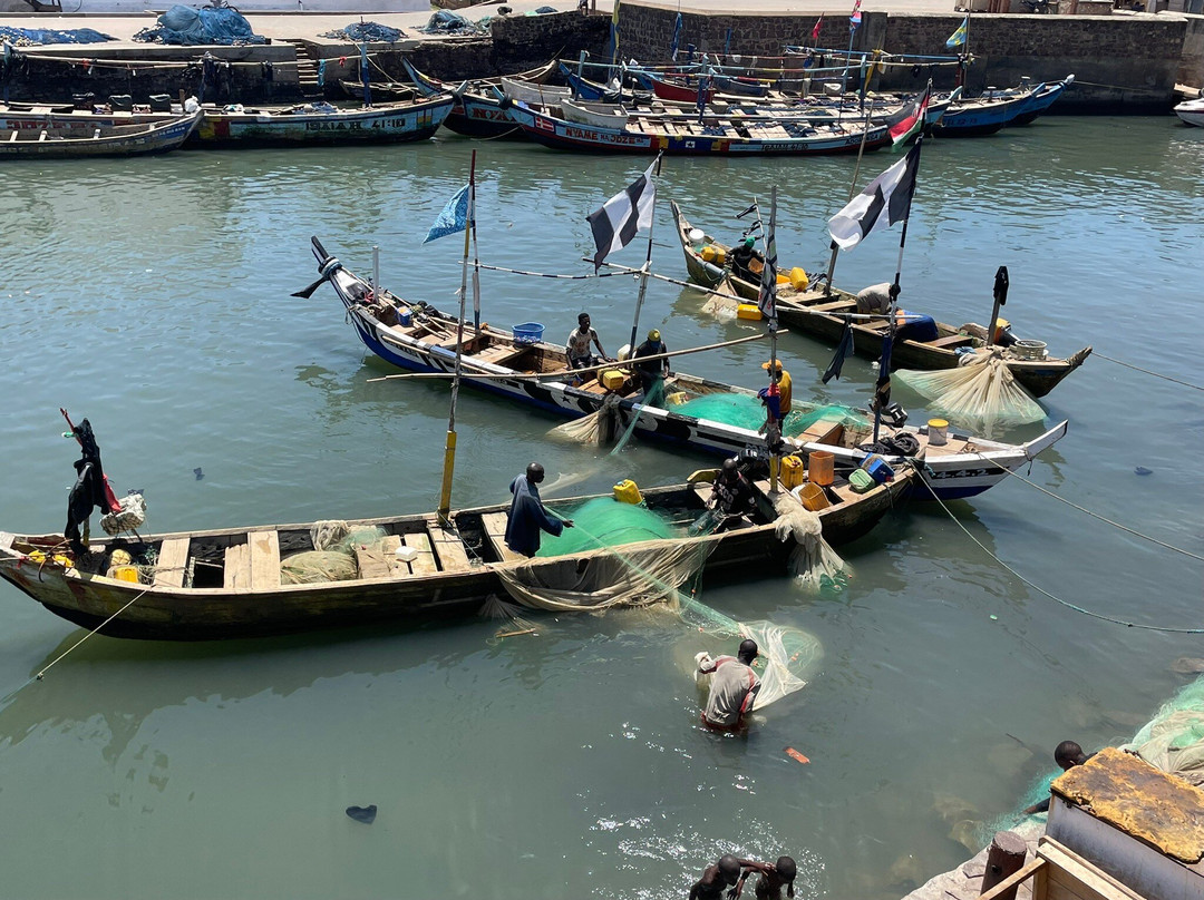 Coconut Grove Bridge House主图