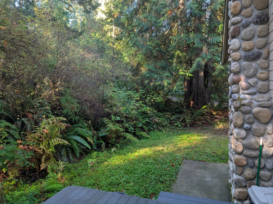 A Hidden Haven Bed and Breakfast主图