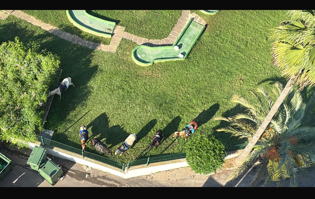 圣米歇尔金丝雀公园酒店-官方