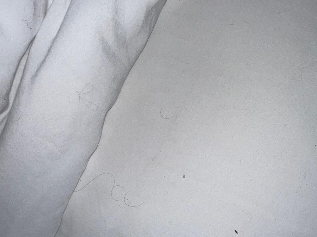 Country Inn & Suites by Radisson, Sparta, WI主图