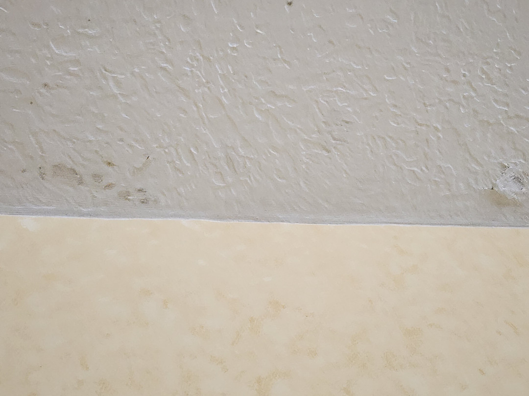 Juniper Hill Inn主图