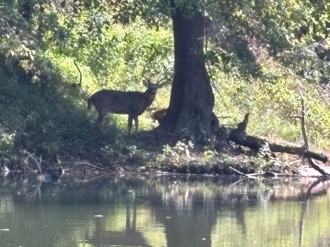 Nachand Canoe and Kayak Rentals-Prospect必去景点