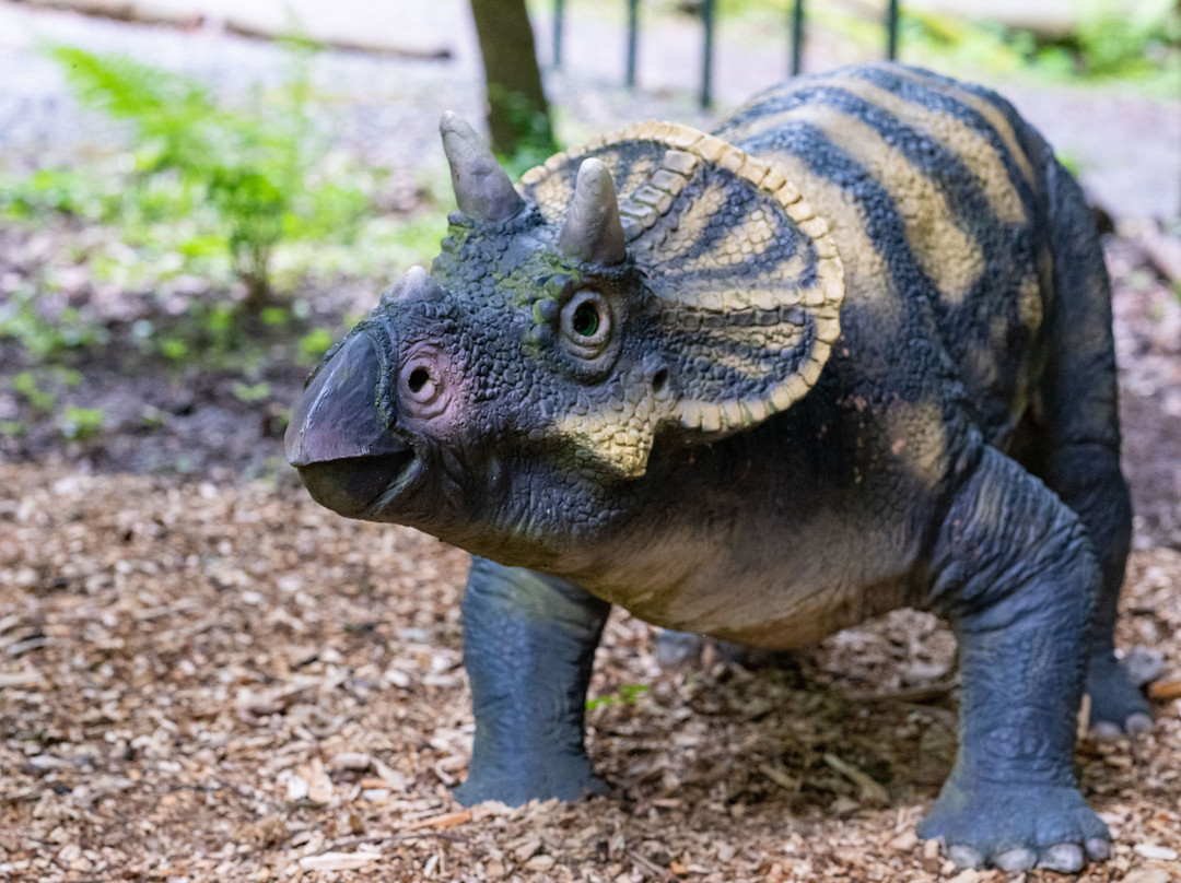 DinoPark Košice-科希策必去景点