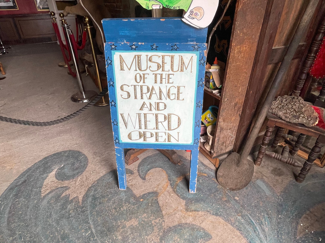 Pexcho's American Dime Museum-奥古斯塔必去景点