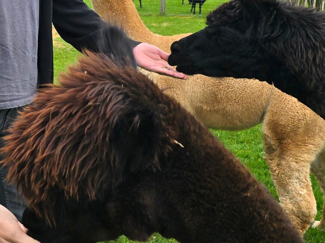 Bioland Weingut Stefan Kuntz