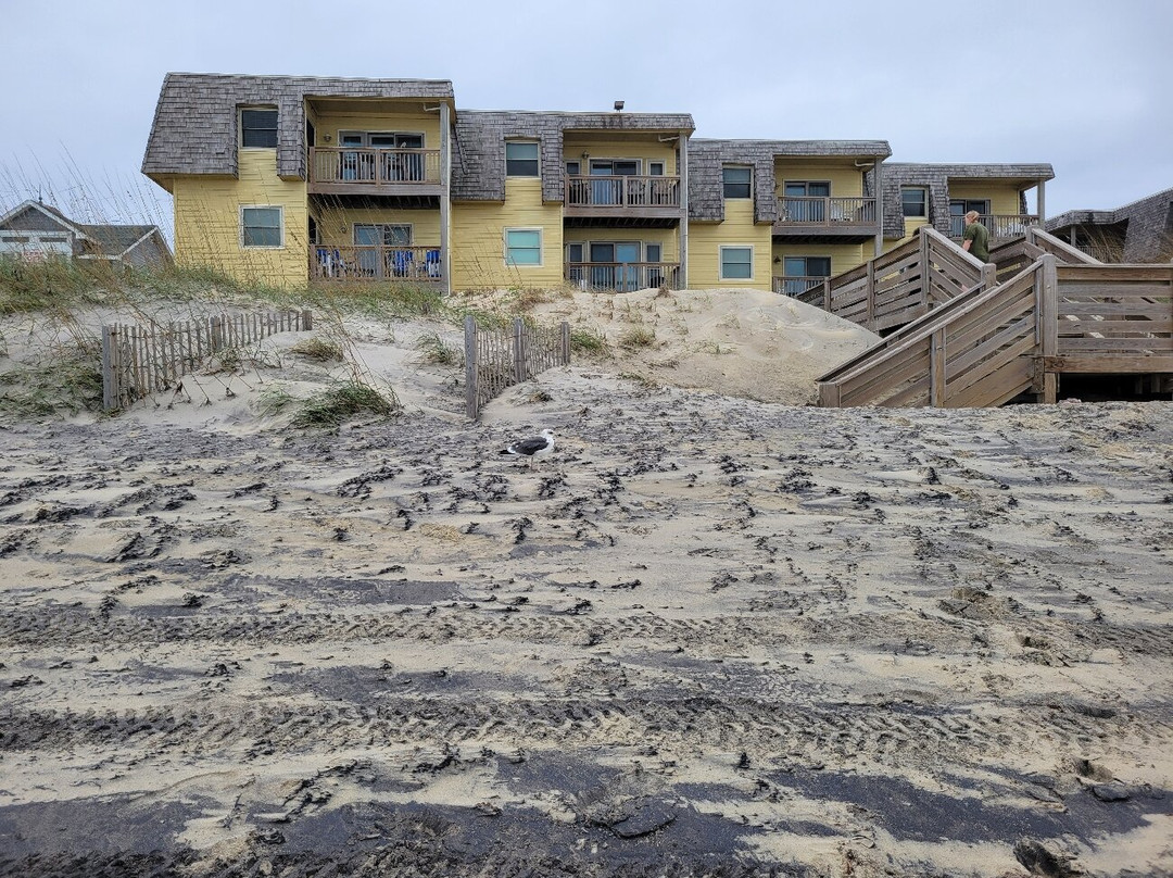 The Golden Strand主图