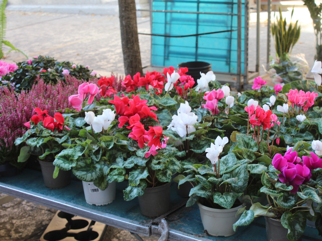 Placa de la Independencia