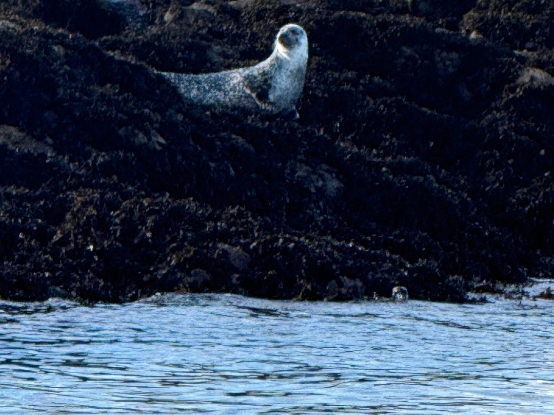 Argyll-Sea Tours-奥本必去景点