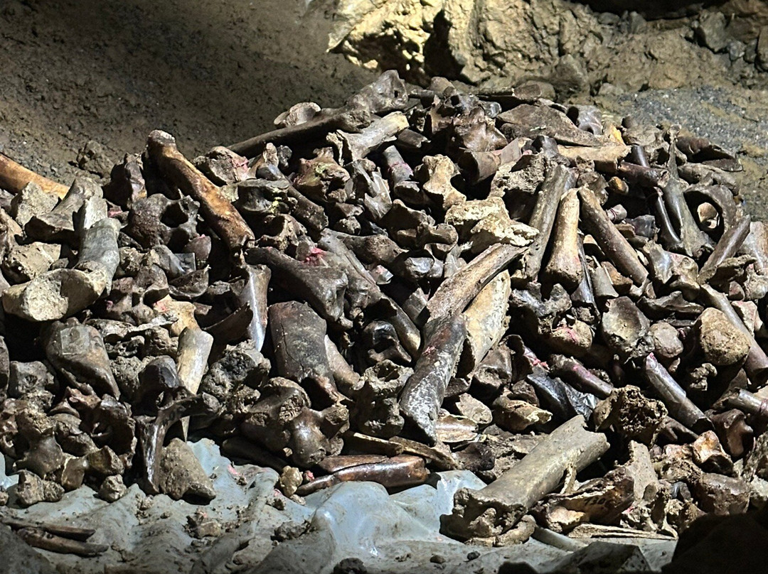 Heinrichshöhle-Hemer必去景点