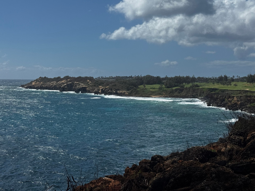 波伊普湾高尔夫球场-可洛亚必去景点