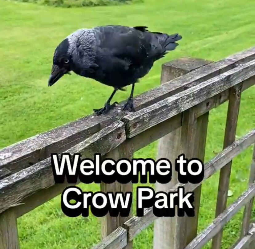Crow Park-凯瑟克必去景点
