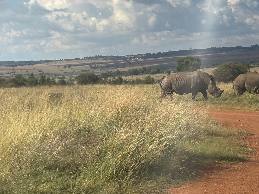 Lourie Trips & Tours-路易特里哈特必去景点