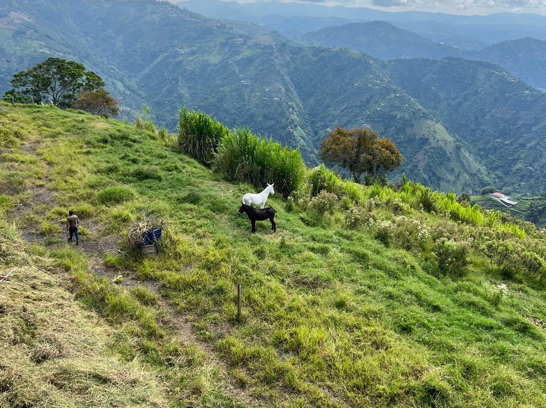 LA JUANA COLOMBIA-Neira必去景点