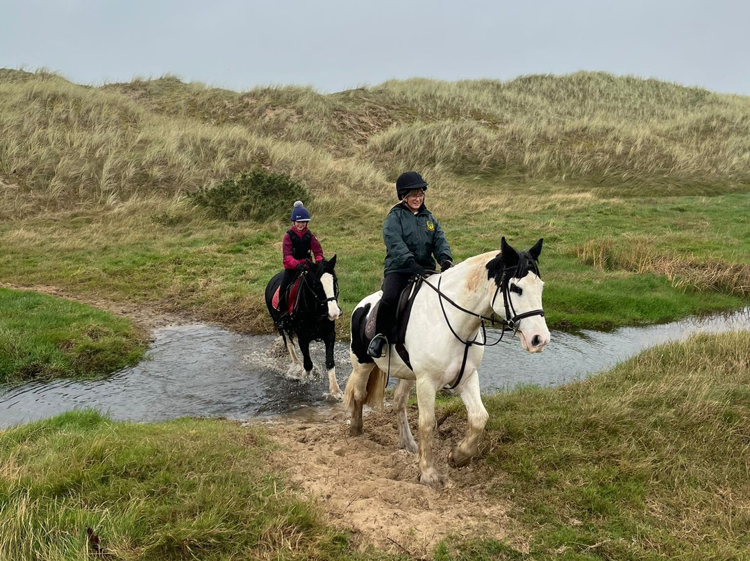 Shrule Equestrian Centre-Gorey必去景点