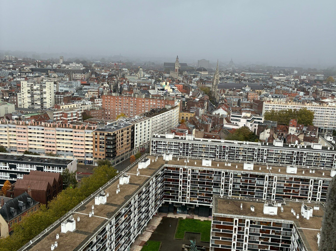 Beffroi de l'Hôtel de Ville-里尔必去景点