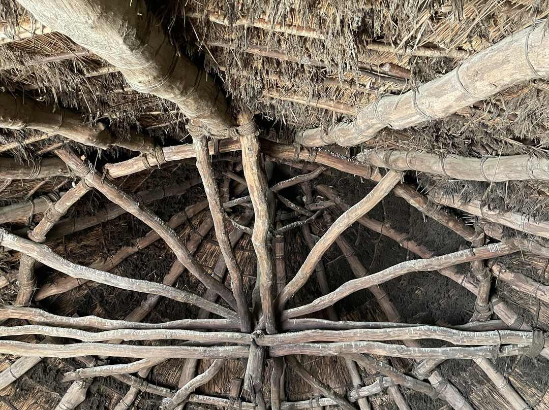 Castell Henllys Iron Age Village-Crymych必去景点